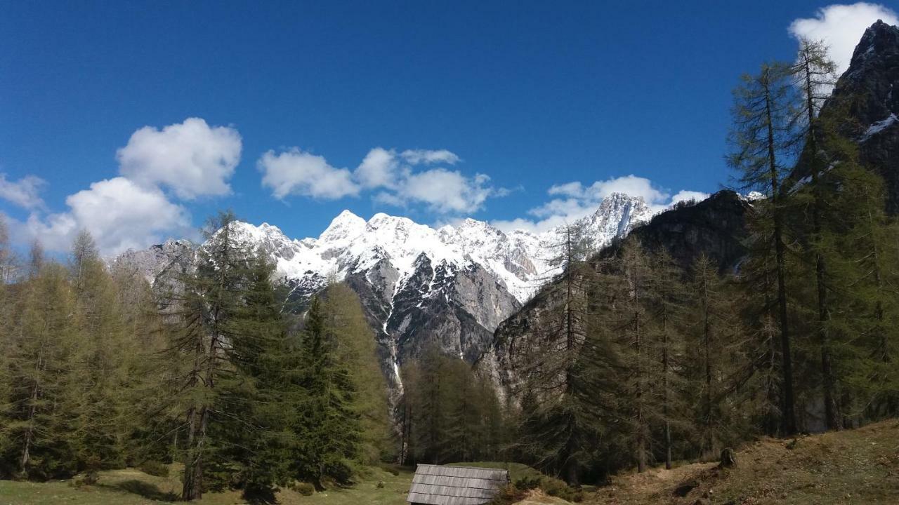 Appleby Apartments Kersnik Bohinji-tó Kültér fotó