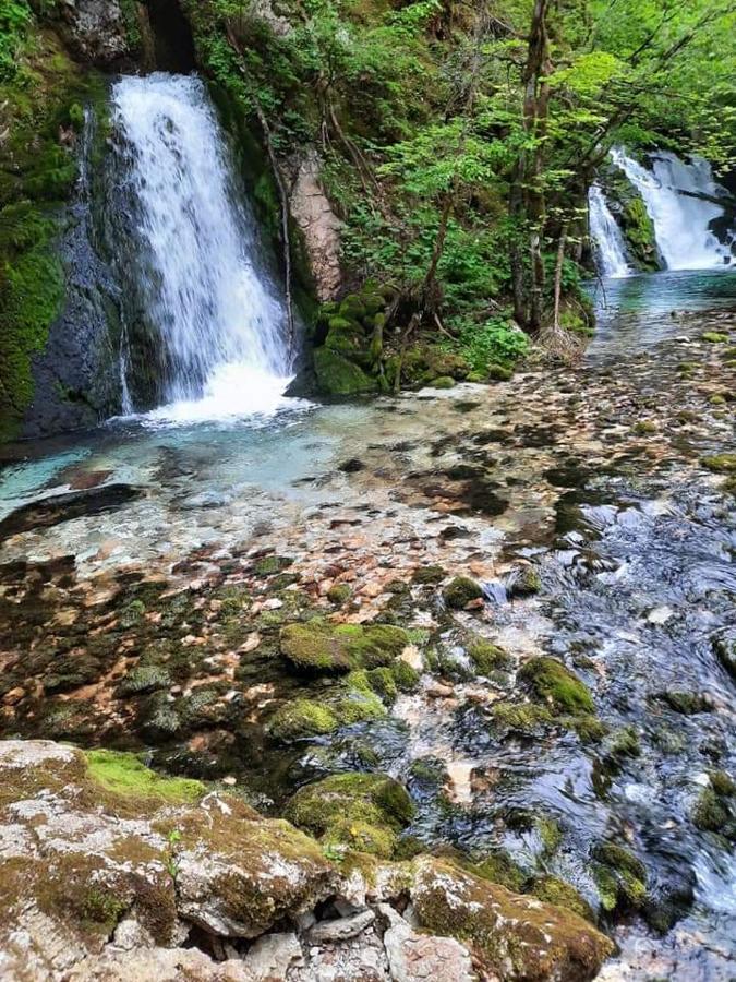 Appleby Apartments Kersnik Bohinji-tó Kültér fotó